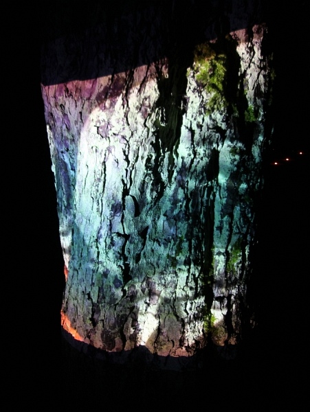 Illumina   048.jpg